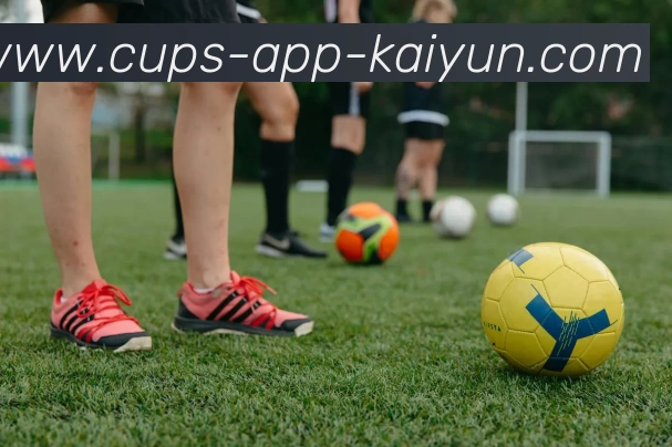 开云平台生态图